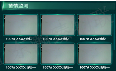11.png
